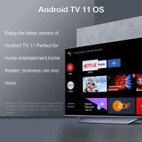TV box HAKO Pro, 2/16Gb, Android TV 11, Dual WIFI, NETFLIX and Google Certificated, снимка 13 - Плейъри, домашно кино, прожектори - 45389762