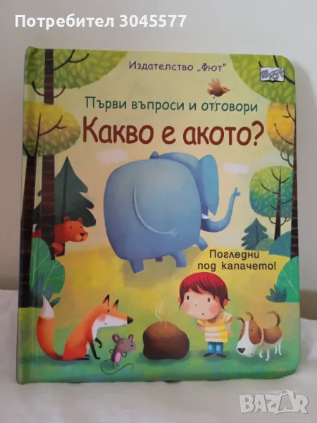 Книга Какво е акото?, снимка 1