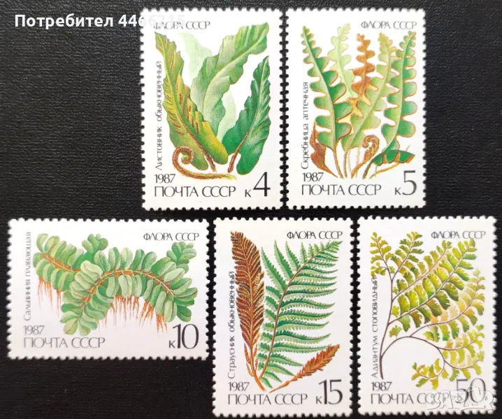 СССР, 1987 г. - пълна серия чисти марки, флора, 2*13, снимка 1