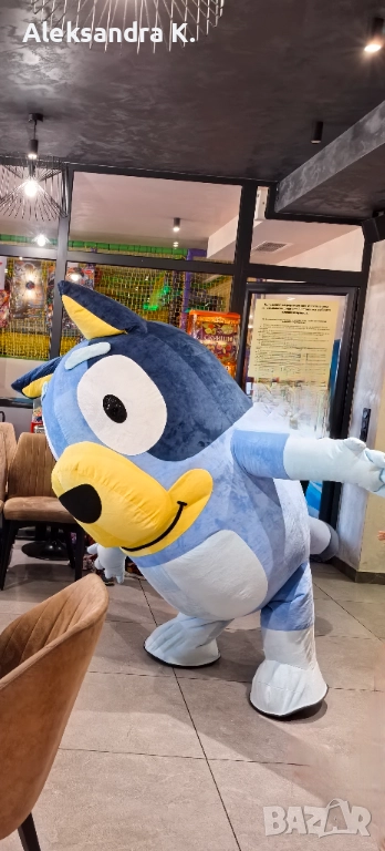 Изненада за рожден ден / Кученцето Блуи, снимка 1