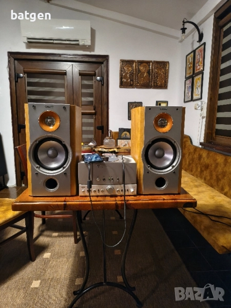 Sony ss-nx1, снимка 1