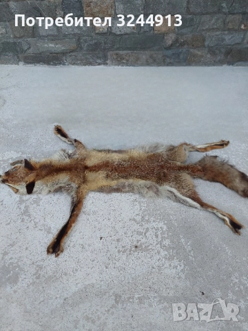 Лисича кожа , снимка 3 - Други стоки за дома - 52309285