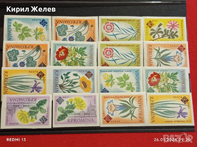 Стари пощенски марки без печат ЦВЕТЯ РУМЪНИЯ за КОЛЕКЦИЯ ДЕКОРАЦИЯ 52020, снимка 11 - Филателия - 53227487