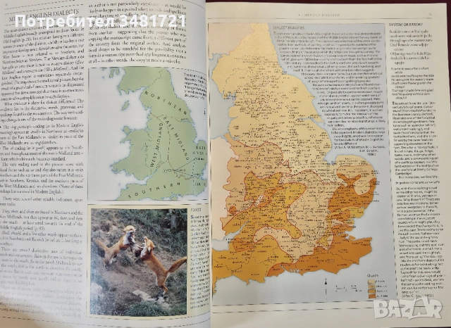 Голяма енциклопедия на английския език / The Cambridge Encyclopedia of the English Language, снимка 7 - Енциклопедии, справочници - 53883120