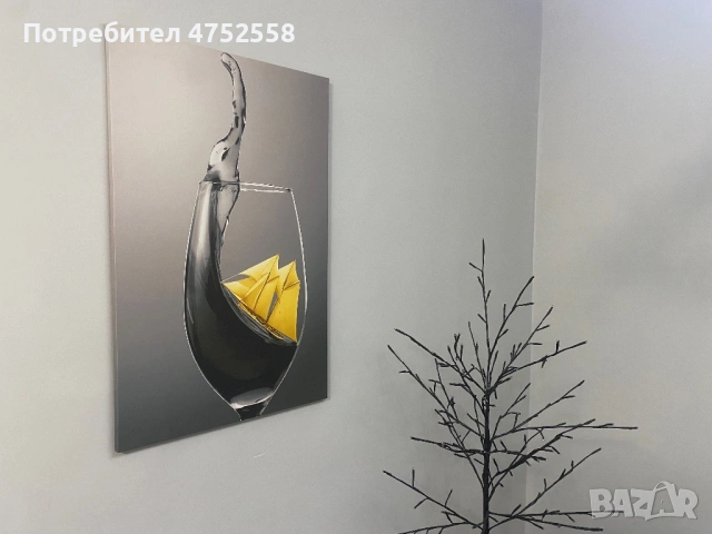 Снимка платно канава върху дървена рамка. Различни видове. Размери 85/55 см