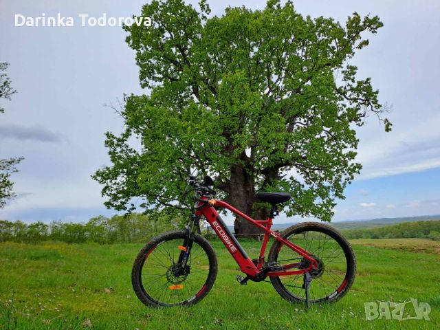 Планински електрически велосипед  EcoBike  S×4, снимка 2 - Велосипеди - 45078867