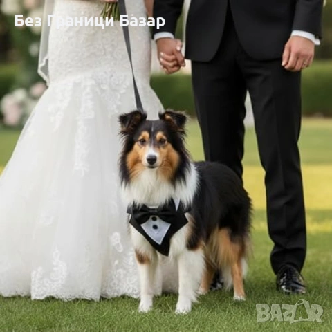 Нов Подплатен регулируем нагръдник смокинг с повод за малки кучета М размер , снимка 6 - За кучета - 54225523