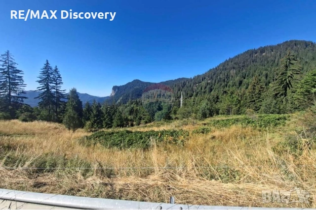 УПИ за продажба, местност Опаленика, гр. Смолян, снимка 5 - Парцели - 52278005