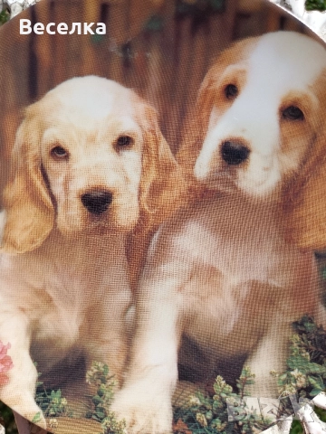 2 декоративни порцеланови чинии с кученца , снимка 5 - Антикварни и старинни предмети - 52424934