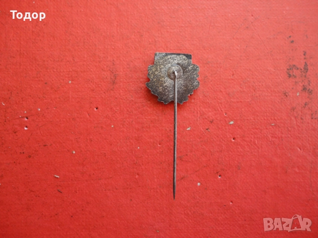 Футболна значка знак бронз емайл , снимка 5 - Колекции - 52670649