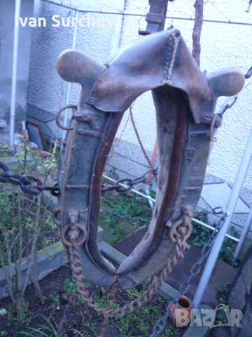 ХАМУТ ЗА КОН ОТ ПЕТДЕСТТЕ ГОДИНИ, снимка 8 - Други животни - 53256404