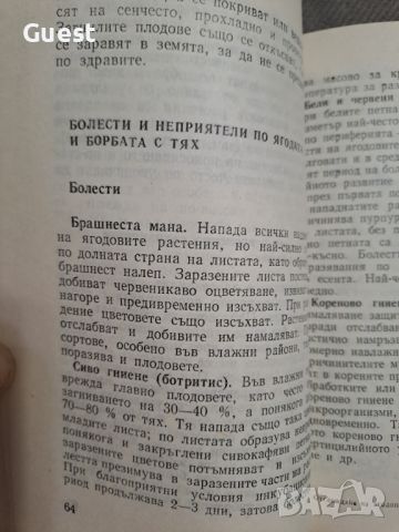 Отглеждане на ягодоплодни растения, снимка 5 - Специализирана литература - 46073665