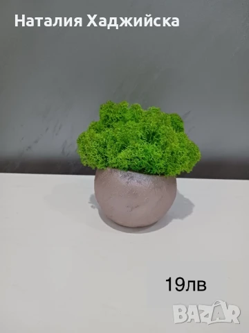 Декоративни кашпи с естествен скандинавски мъх, снимка 7 - Декорация за дома - 51278809