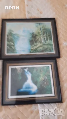 2 бр. -картини за 10лв