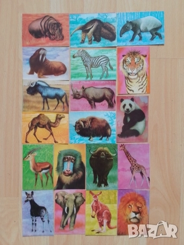 Календарчета по 50 стотинки , снимка 9 - Колекции - 51971776