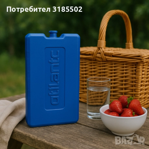 Охладител за хладилна кутия Atlantic 400gr, снимка 5 - Хладилни чанти - 51457469