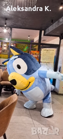 Изненада за рожден ден / Кученцето Блуи