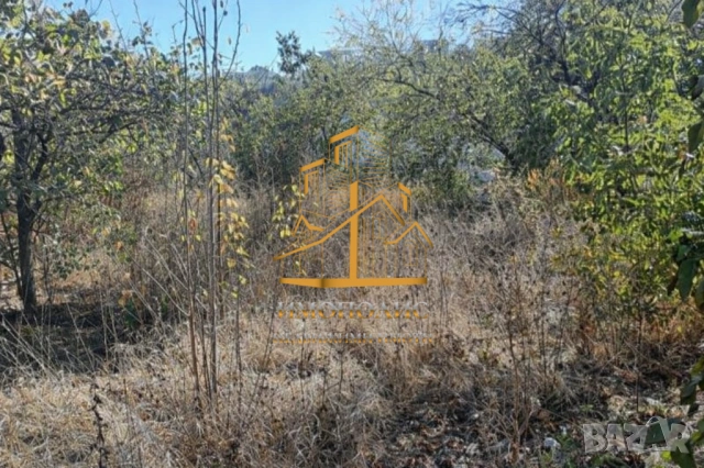 🌿Парцел - м-т Зеленика, Област Варна (Обява N:317817)🌿