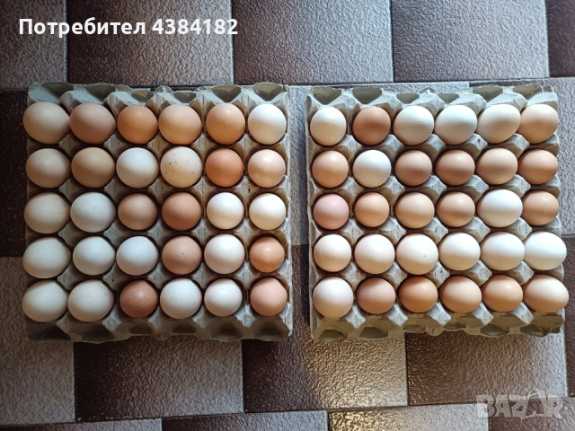 Продавам домашни яйца , снимка 3 - Домашни продукти - 53082872
