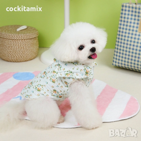 Яке за куче размер XL