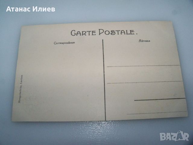 Стара пощенска картичка от Белгия -Laeken, les serres, vue exterieure, снимка 4 - Филателия - 46401531