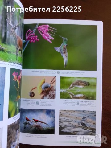 Девети международен фото салон Пловдив 2022г, снимка 7 - Енциклопедии, справочници - 50695939