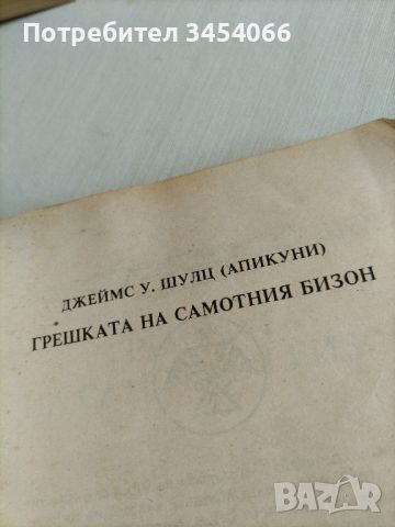 Грешката на самотния бизон. , снимка 2 - Детски книжки - 45890941