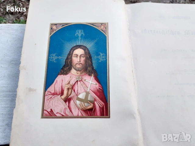 МНОГО СТАРА НЕМСКА БИБЛИЯ 1887 ГОДИНА, снимка 3 - Антикварни и старинни предмети - 53479194