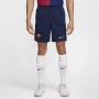 Къси панталони Nike Barcelona, с етикет, снимка 1