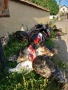 ПРОДАВАМ ОПЛОДЕНИ КОКОШИ ЯЙЦА , ЗА РАЗПЛОД, снимка 8