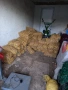 Картофи за семе и консумация, Родопски картофи, снимка 2