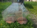 Зайчарник клетка за зайци , снимка 3