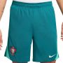 Мъжки Шорти Nike Dri-FIT Portugal Strike FJ2204-381, снимка 1