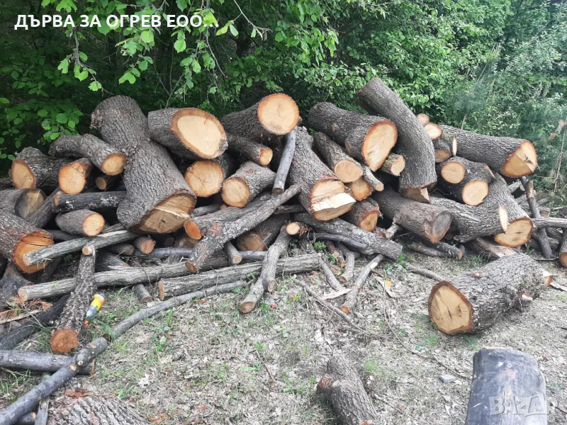 Експресни поръчки до дома Работим всеки ден За регион Пловдив и Пазарджик 105лв  Тел0895977422 , снимка 1