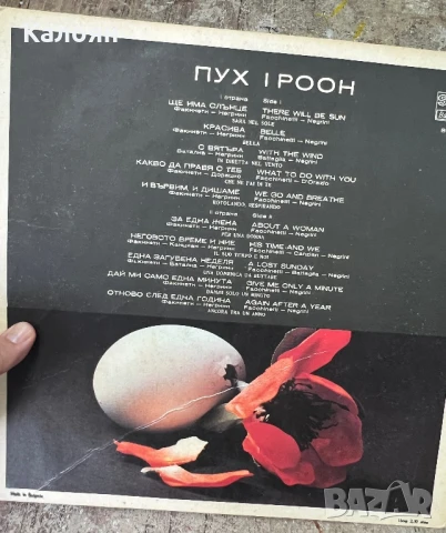 Грамофонна плоча - POOH, снимка 3 - Грамофонни плочи - 51363511