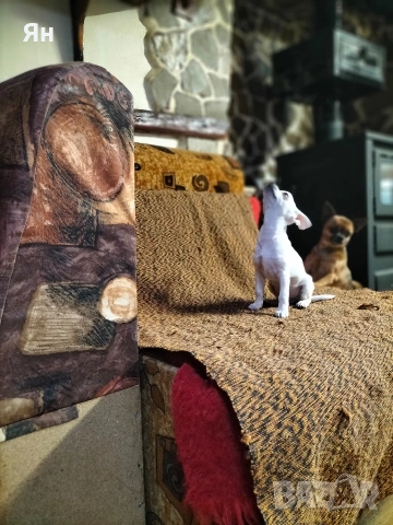 чихуахуа момичета , снимка 4 - Чихуахуа - 52745242