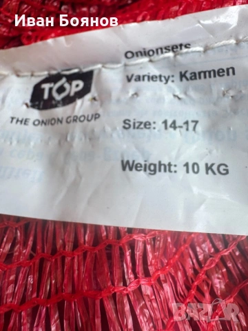 Арпаджик сорт Ред Кармен(14-17), снимка 4 - Сортови семена и луковици - 53992080