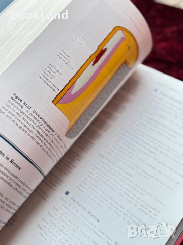 The nature of life, снимка 4 - Художествена литература - 53948126