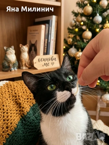 Подаряват се две прекрасни души!, снимка 2 - Други - 54125511