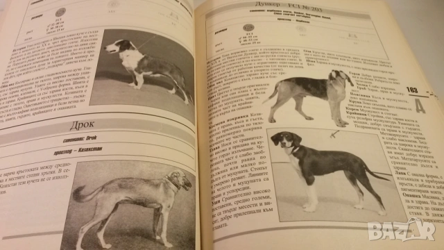 Световна енциклопедия на кучетата - Венелин Динчев, снимка 11 - Енциклопедии, справочници - 54083830