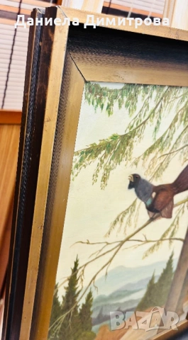 Рисувана картина на фазер, снимка 5 - Картини - 54205558