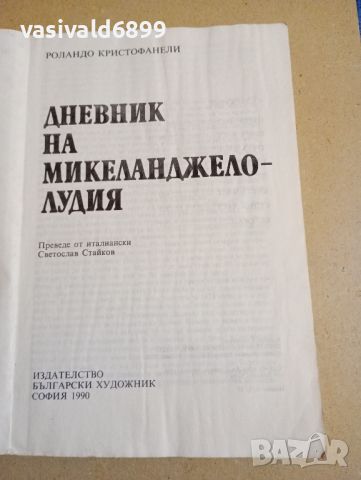 Роландо Кристофанели - Дневник на Микеланджело - лудия , снимка 7 - Художествена литература - 46127813