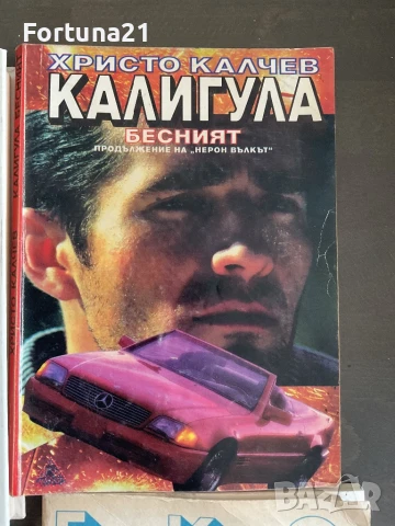 Различни книги от миналото, снимка 5 - Други - 51272089