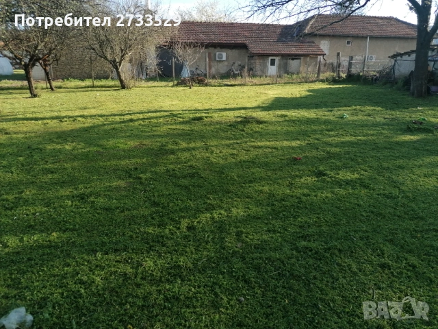 Косене на тревни площи , рязане и подръжка на дървета