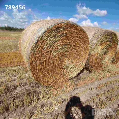 Ролонни бали -слама., снимка 2 - За селскостопански - 51495356