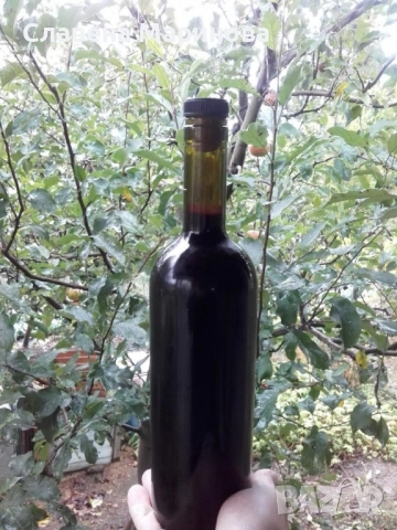 Сироп от бъз, снимка 2 - Домашни напитки - 52534717