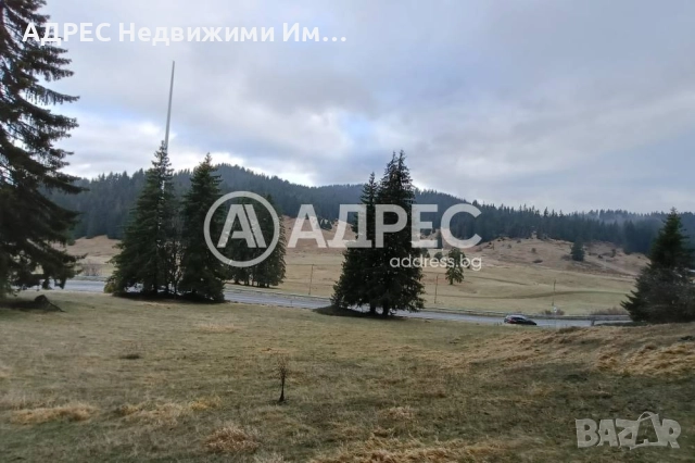 Продава, Земеделска земя, с. Соколовци, обл. Смолян, местност Рожен, снимка 4 - Земеделска земя - 52718709