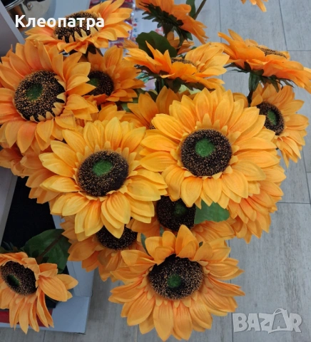 Големи слънчогледи с 3цвята