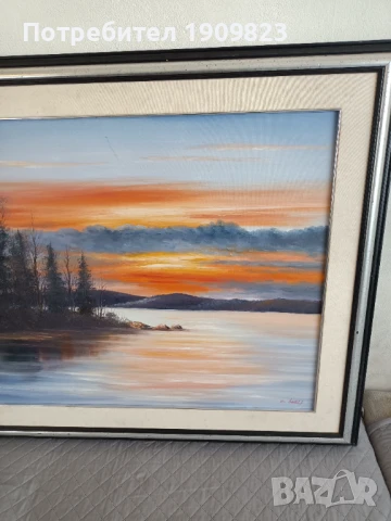 Голяма маслена картина , снимка 4 - Картини - 50494505