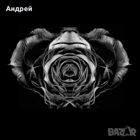 ФОТО-ИЗКУСТВО ЗА ВАШИЯ ИНТЕРИОР АВТОРСКА ФОТОГРАФИЯ И ДИЗАЙН , снимка 5 - Други - 54289286